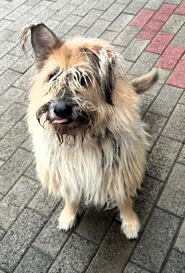 SPANK SPERA SEMPRE Foto 4